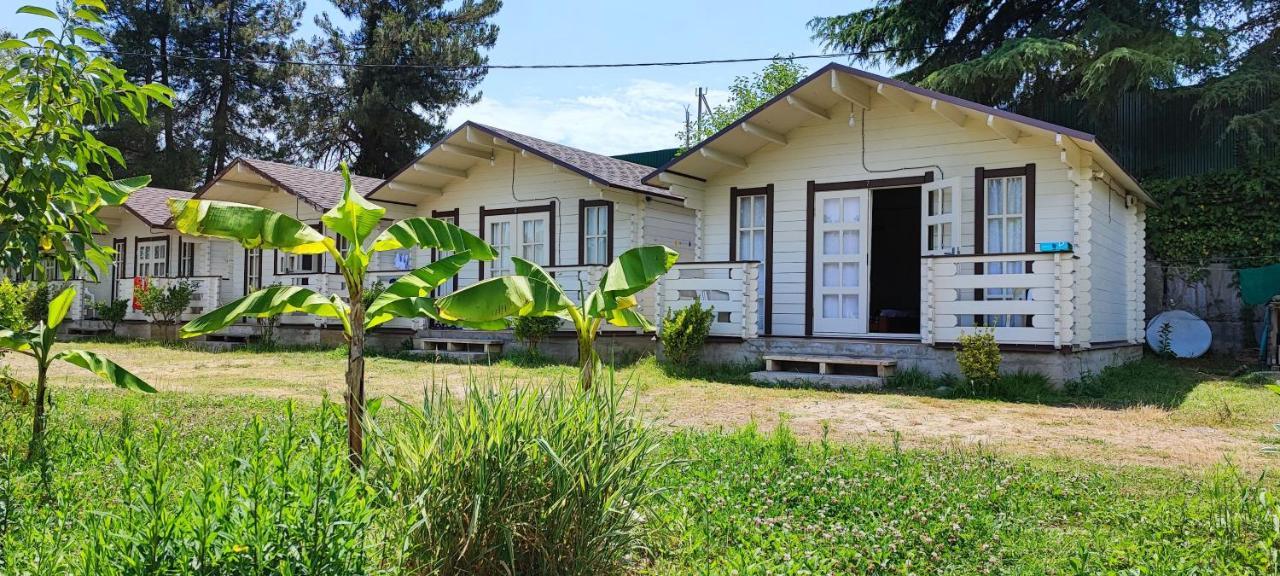 Lukomorye Pitsunda Exterior foto